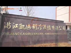 Introducción del escrito de la compañía