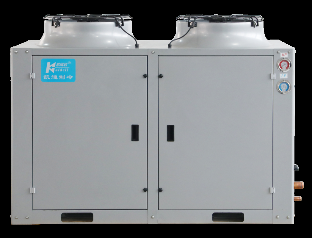 Box type condensing unit (6-30Hp) suitable for cold storage, meeting the requirements for refrigerants such as R404A, R507A, R448, R22, etc