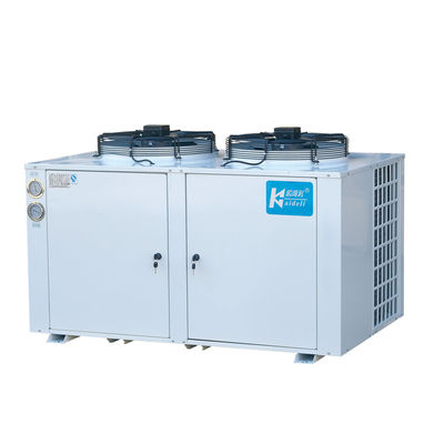 Refrigerante más desapasible a baja temperatura del ajuste R22 de las unidades de refrigeración de la conservación en cámara frigorífica