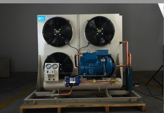 Sistema de enfriamiento de condensación de la unidad de la cámara fría de Monoblock de los temporeros de Frost para la conservación en cámara frigorífica