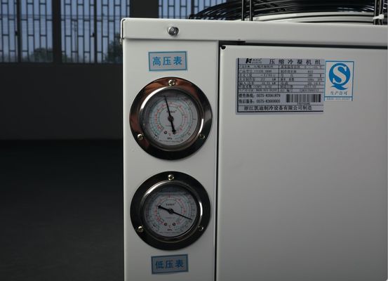Refrigerante de condensación del compresor 404a de la unidad del sitio del congelador de Copeland