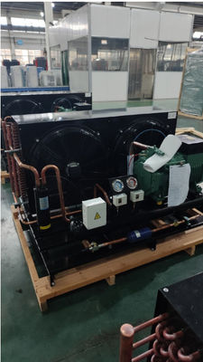 Unidad de condensación de la sala de frío de refrigeración personalizada Compresor de pistón